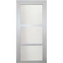 Gd Menuiseries - Blocco porta in vetro Greyria RAL7035 H204 x L73 Pannello laterale a spinta sinistro + maniglia