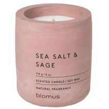 Duftkerze -fraga- Farbe: Withered r