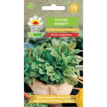 Bloody Sorrel Sorrel graines herbes herbes