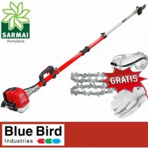 Blue Bird Benzin Hochentaster Astkettensäge PTT261 Teleskopschaft 430cm 25,4 ccm 0.7Kw
