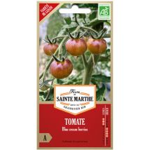 50 graines ab - Tomates blue cream berries - La Ferme Sainte Marthe