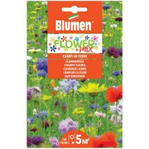 Semi miscuglio di fiori campi in fiore Blumen