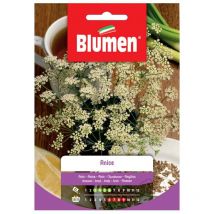 Semi anice foglie aromatiche Blumen