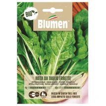 Semi bio bieta da taglio erbette Blumen