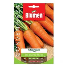 Semi di carota rubrovitamina Blumen