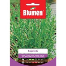 Semi di Dragoncello – Blumen – Altezza fino a 100 cm – Utilizzo in cucina