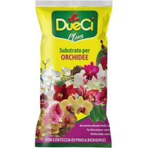 Fito bio cocciniglia nogas 250ml x354100 - Blumen