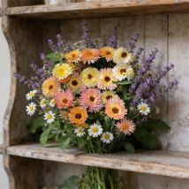 Blumensamen Set – 1000 Ringelblumen (calendula) + 1500 Lavendel + 2000 Kamille, Nicht-gvo, Langanhaltende Blüte, Garten Und Balkon