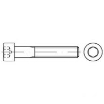 Din 912/ISO 4762 Zylinderkopf-Schaftschraube M48x160 Stahl 8.8 blank Innensechskant
