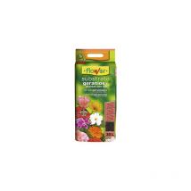 Blumenzwecke Gannios und Blumenpflanzen, Tasche mit ASA 20 Litros