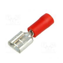 Bm 100 femelles 1.5-6.3x0.8 00190