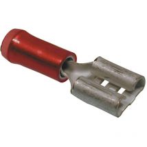 Bm 100 weiblich 1,5-6,3x0,8 00190