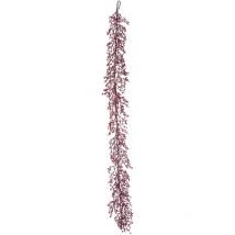 Boa Delia Fruits Rouges Surgelés H180