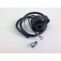 Tecumseh - Bobina de encendido electrónica compatible para motor lav bv bvl bvs