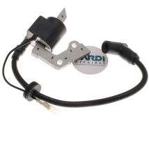 Bobine d'allumage compatible avec Robin remplace 226-79430-61