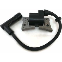 Gabrielle Bobine d'allumage pour moteur de tondeuse à gazon Robin EX13 EX17 EX21 277-79431-01