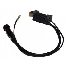 Lem Select - Bobine d'allumage pour moteur honda GX340-390
