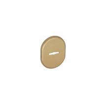 Bocchetta per blindate foro doppia mappa in ottone finitura bronzato 80 x 60 mm