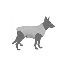 Body protection Désignation : Body protection Taille : 26 cm MORIN IMPORT 16662