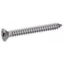 Topcar - 100 vis tf 4.2X25.4 - 7982-8X25.4