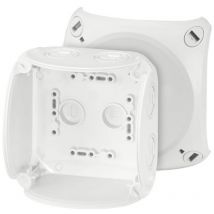 Hensel 62000045 Boîte de dérivation (L x l x H) 70 x 104 x 104 mm gris clair (RAL 7035) IP66, IP67, IP69 1 pc(s) C580651