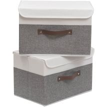 Boîte de Rangement, 38 x 25 x 25 cm Paniers de Rangement Pliables avec Couvercles et Poignées, Boîte Range(2 pièces)