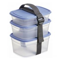 Boites alimentaires carrees (lot 3) myrtille+strap
