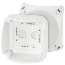 Hensel - eb 04 g 62000243 Boîtier 104 x 104 x 70 plastique 1 pc(s) A035752