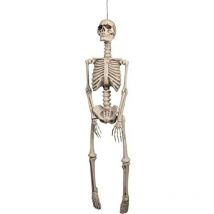 Scheletro Decorazione, Bianco, l (92 cm), 74368 - Boland