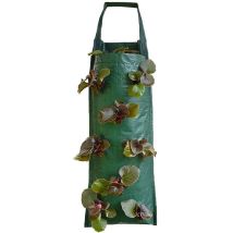 Way - Bolsa Para Plantar Fresas, Macetero Colgante Para Fresas, Transpirable, Con Múltiples Agujeros, Para Patio, Jardín Pequeño, Balcón, 8 Agujeros.