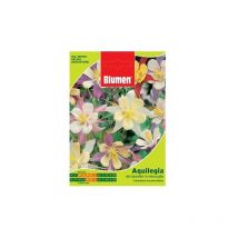 Blumen - Bolsita Con Semillas Aquilegia De Los Jardines En Mezcla