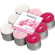 Candela Tealight Orchidea Pz 18 Bolsius