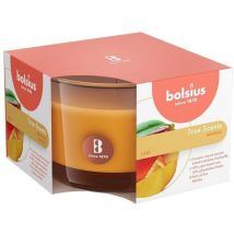 Candela Bicchiere Mango Mm 90 h 63 Bolsius