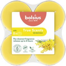 Bolsius Duft-teelichte Maxi 8 Stunden 8er Pack True Scents Mimose Duftkerze