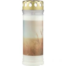 Bolsius - Grablicht Nr. 7 Feld weiß mit Deckel Grabkerze 168 Std Gedenkkerze