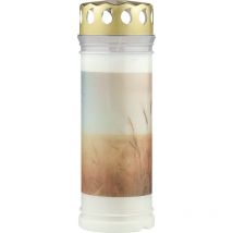 Bolsius - Lumino Funerale – Bianco – 6 Pezzi – Lunghezza Durata 168 Ore – Candela Funebre & Memoriale – Bruciatore Permanente – Con Motivo – Campi –