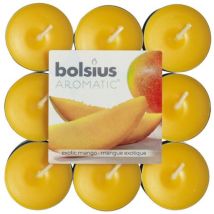 Tealight 18 Pz Mango - Bolsius