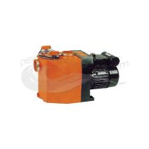 Pompa Badu 30/10 10 m³/h 0,75 cv trifase