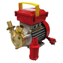 Bomba de trasiego campeón rover 20-CE