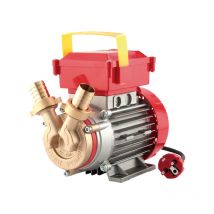 Bomba de trasiego Rover 1700 l h