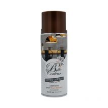 Bombe De Peinture Cuivre