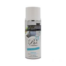 Bombe De Peinture Electroménager Blanc