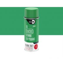 Bombe de peinture Relook tout Maison Deco cactus brillant 400 ml