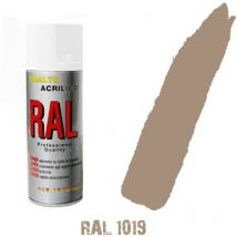 Bomboletta spray tortora grigio/marrone ral 1019 acrilico vernice brillante lu