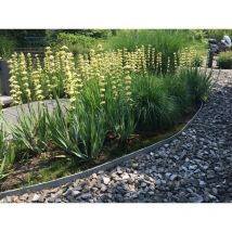 Ecolat - Bordure à dérouler plastique gris, H.14 x L.1000 cm