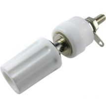 Borne de polarité ø stylo (détails): 4 mm Cliff CL1509 blanc 15 a 1 pc(s) D73037