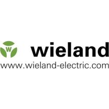 Borne Fusible Pour Fusible Automobile Wieland Electric 56.704.4155.0 Gris 1 Pc(s) D21365