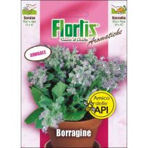 Borragine – Semi di ortaggi – Semina da Marzo ad Aprile – Flortis