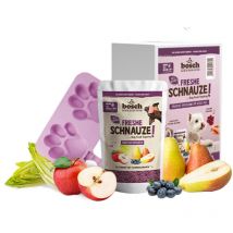 Bosch Petfood Concept - bosch Freshe Schnauze Hundeeis Aktionspaket Vegan inkl Eisform 4 x 200g Leckerli