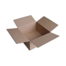 Lot de 500 Boîtes carton (N°54) format 400x400x200 mm